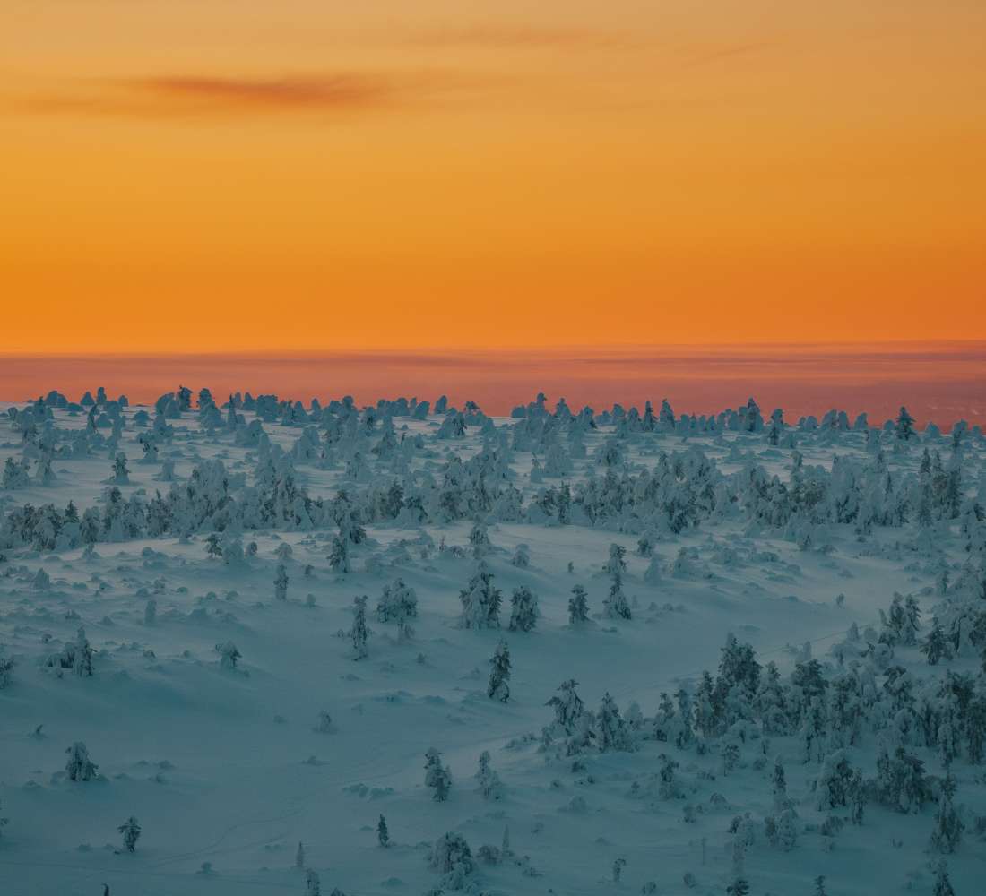 Visitpyhaluosto_Pyhaluostonationalpark-kansallispuisto