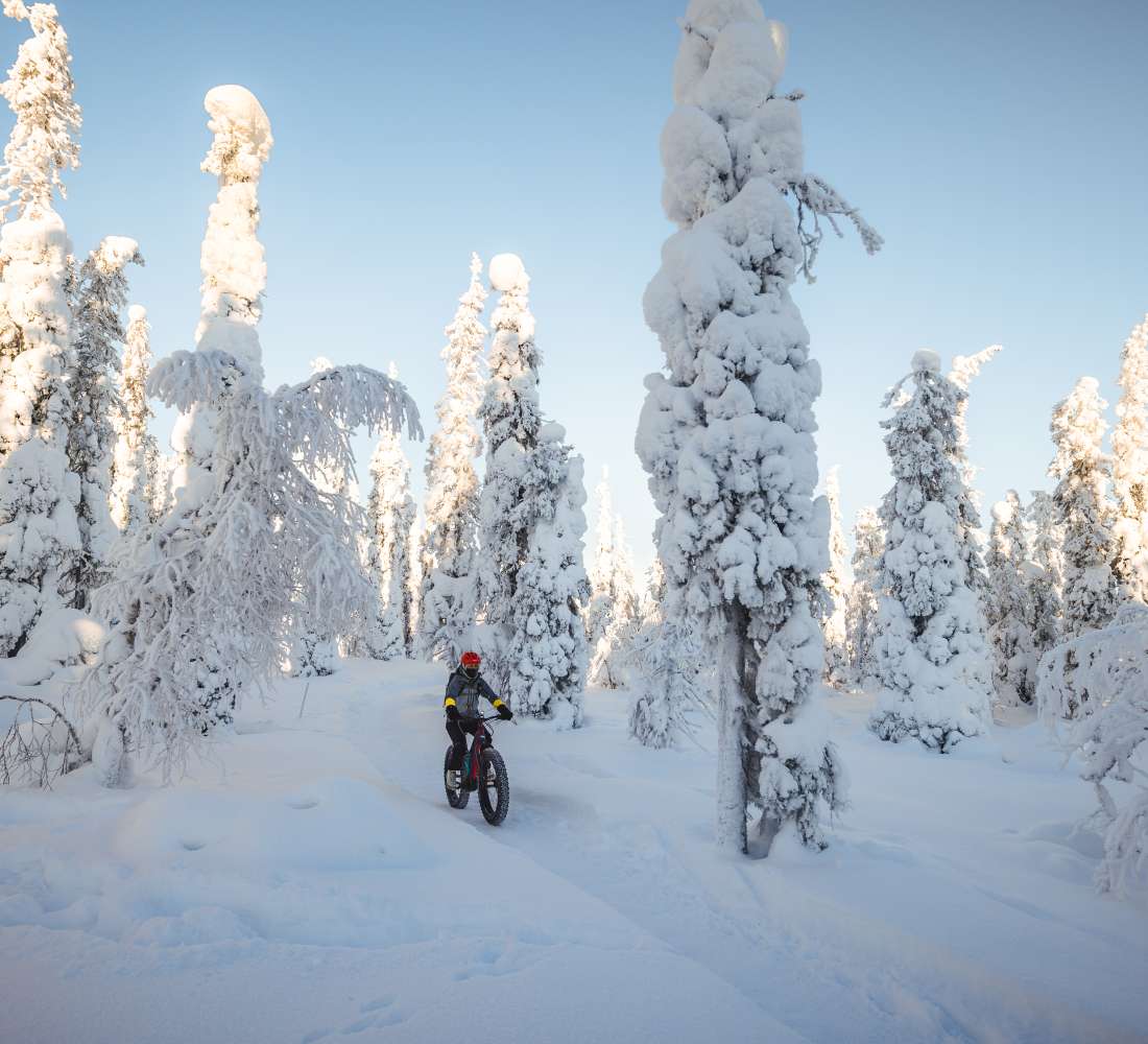 VisitPyhaLuosto_Luosto Electric Fatbike