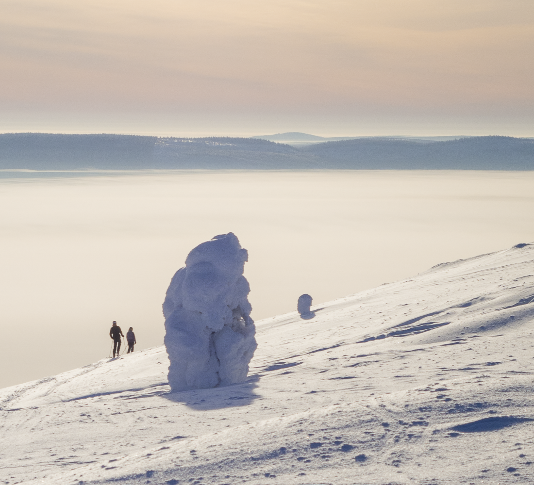 Pyhän Ski-Inn majoitustarjous