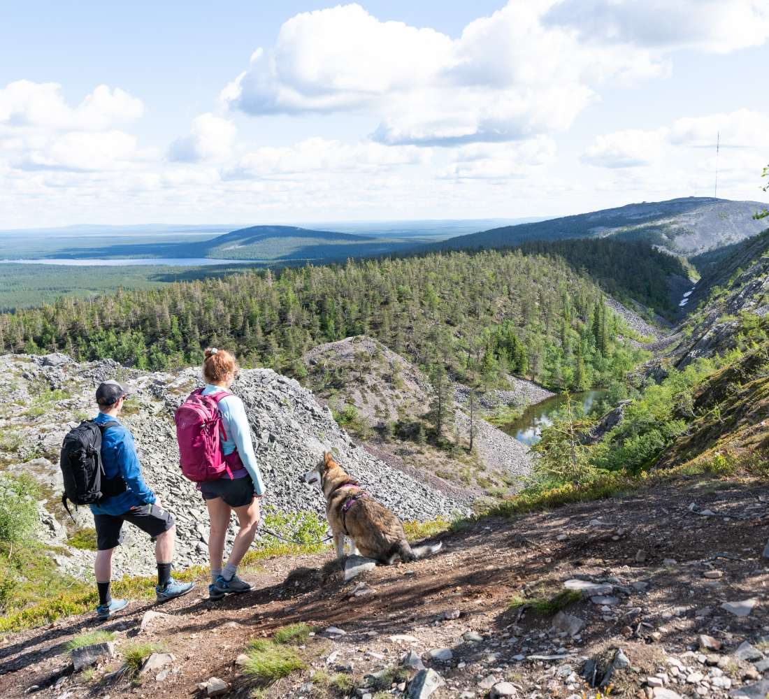 Visitpyhaluosto_noitatunturi_kesa