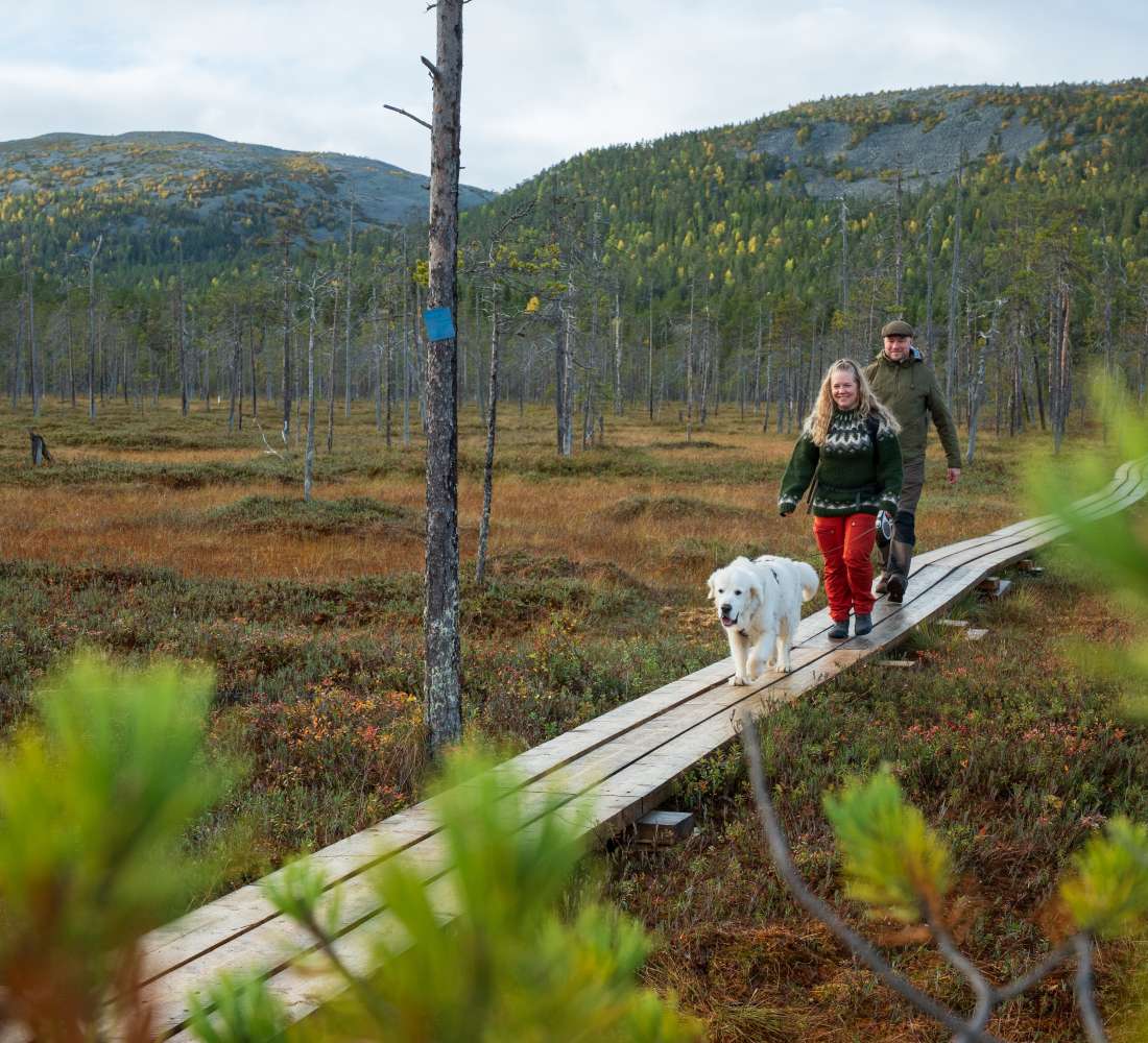 Visitpyhaluosto hiking Tunturiaapa trail syksy