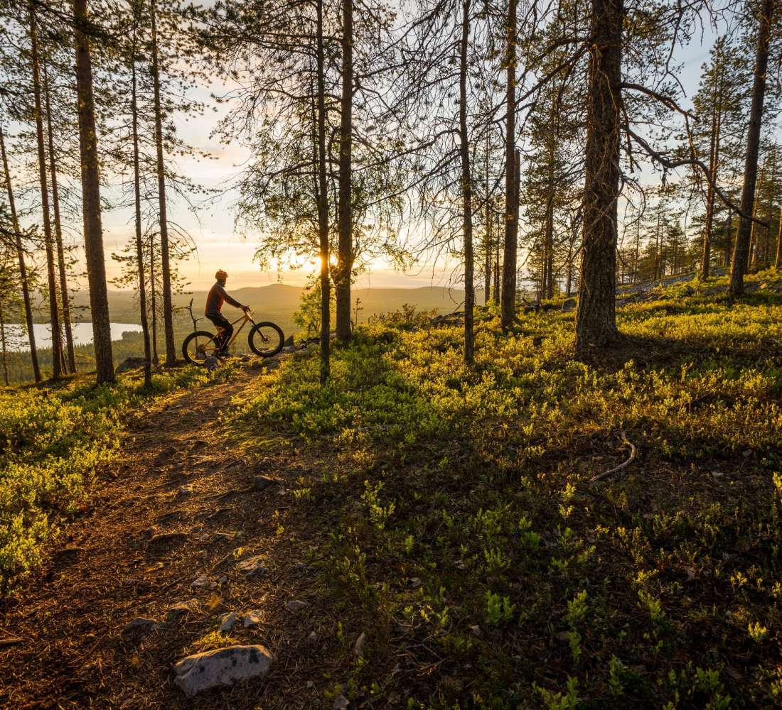 Visit PyhaLuosto - maastopyöräily