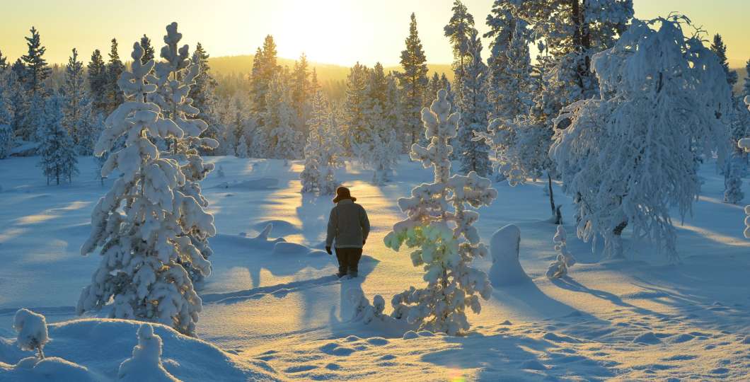 Backcountry_Lapland_activities