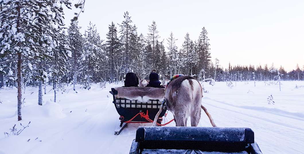 Reindeersafari Kairankutsu Pyhä-Luosto Finland
