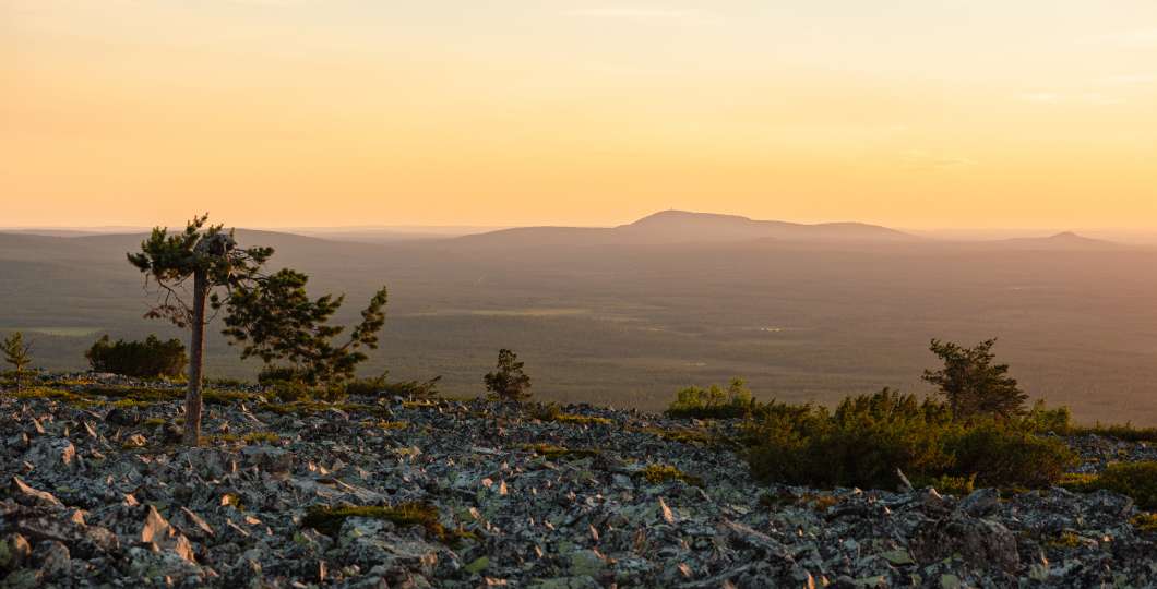 Summer in Pyhä Lapland