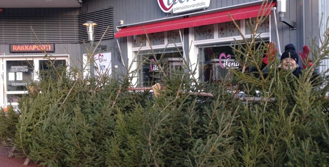 joulukuuset_ilona