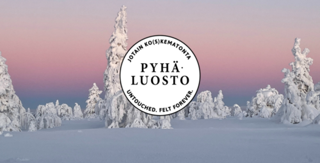 Visitpyhaluosto_kysely