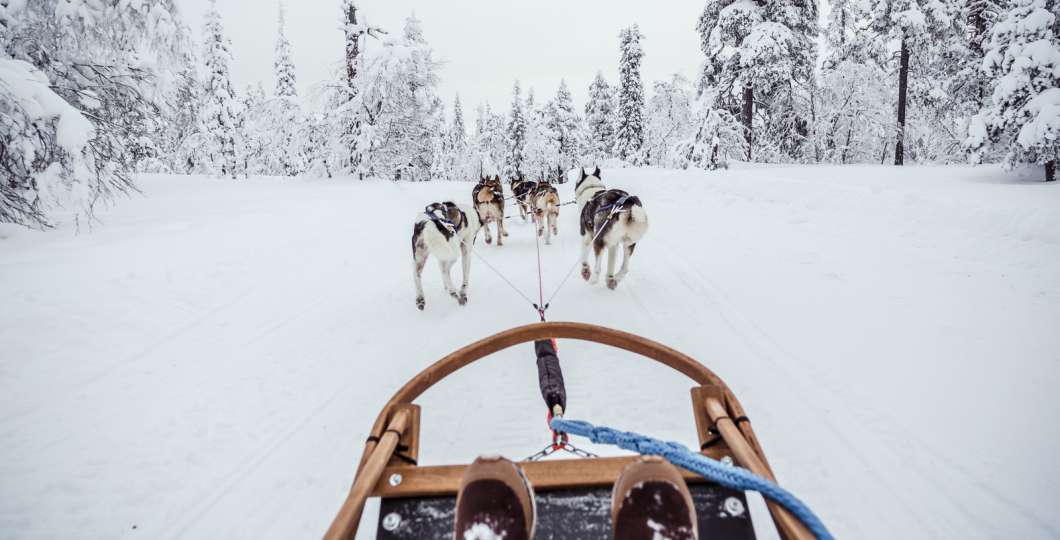 VisitPyhaLuosto-huskyvaljakko
