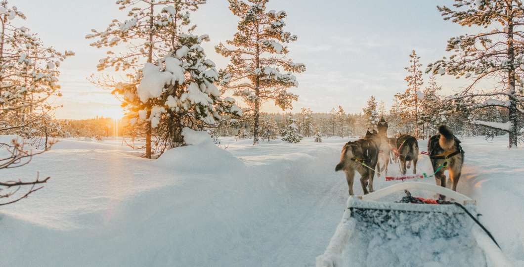 Husky Northern Light village Pyhä