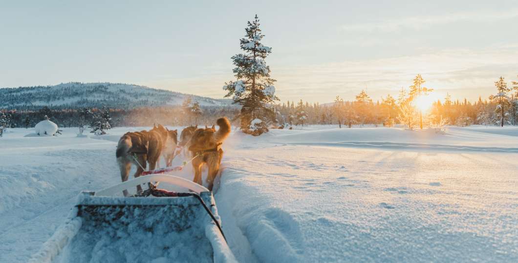 Northern Light village Pyhä Husky