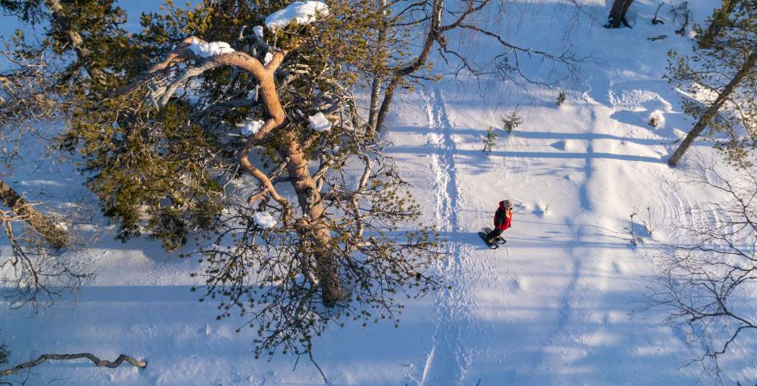 Visitpyhaluosto_lumikenkäily