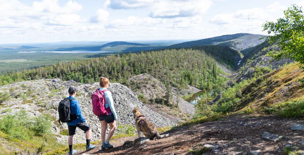 Visitpyhaluosto_noitatunturi_kesa