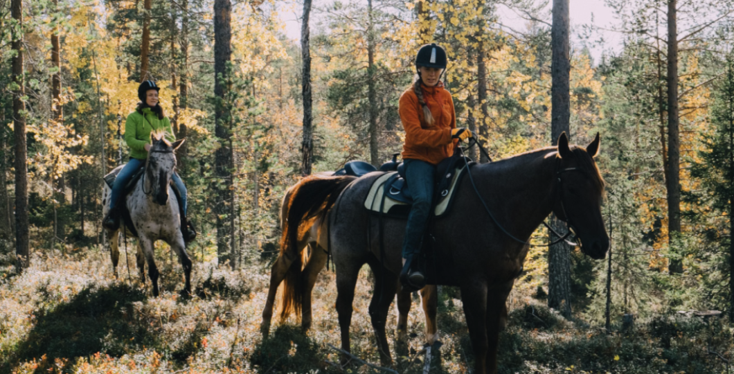 Kaksi henkilöä ratsastamassa kesäisen metsän siimeksessä kolmannen hevosen seuratessa opas ratsastajaa.