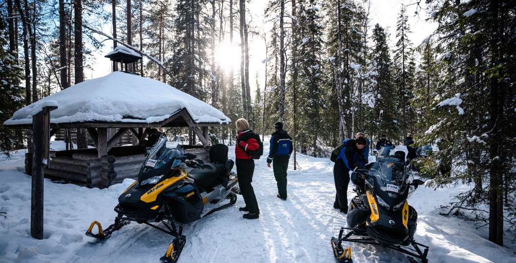 Nature Snowmobile Safari