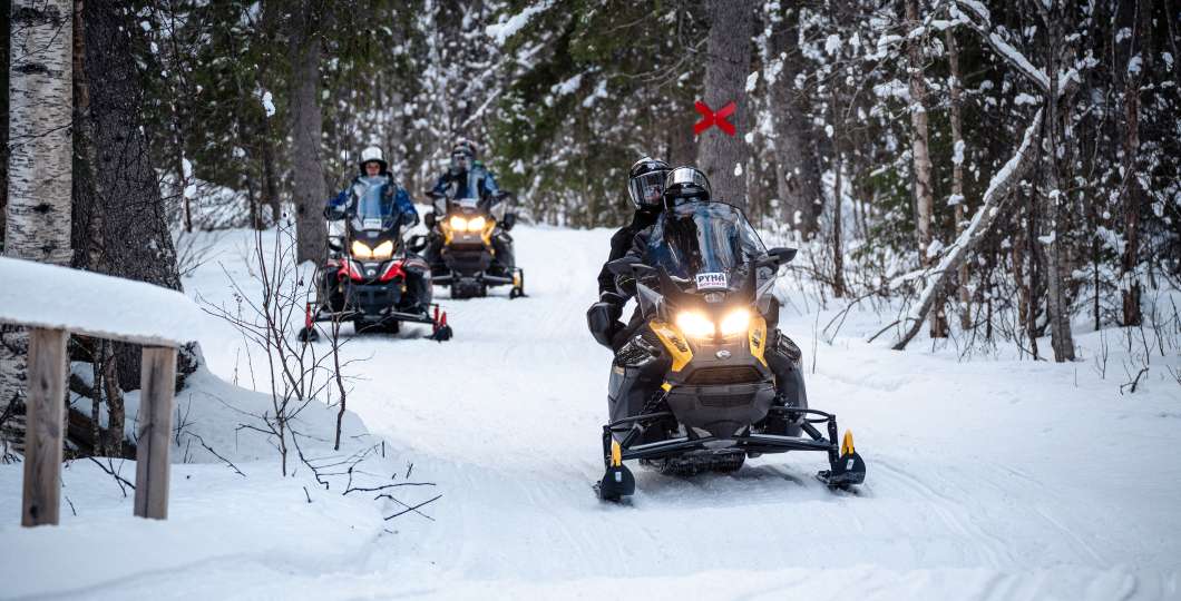 Snowmobile Safari with Campfire
