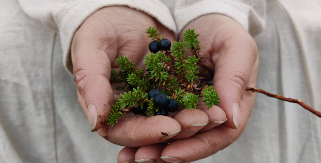 Edible Forest Garden 1 Of Northern Nature.png